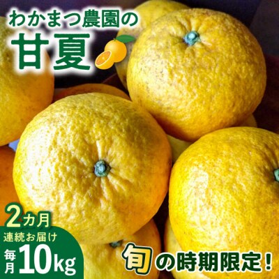 【全2回定期便】【 有機栽培 】 甘夏 10kg 栽培期間中農薬 不使用 糸島市[AHB051]
