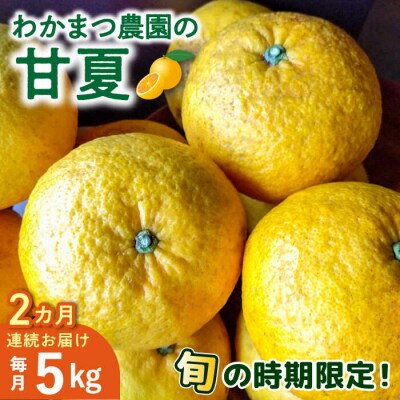 【全2回定期便】【有機栽培】甘夏 5kg 糸島市/わかまつ農園 果物 フルーツ [AHB052]