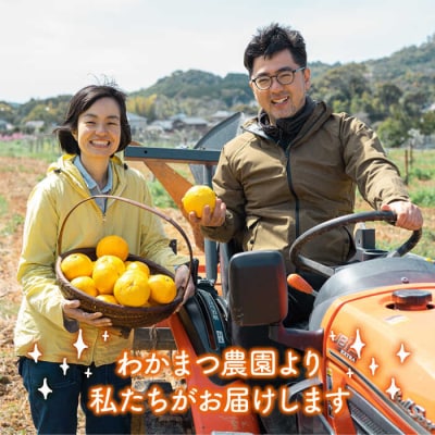 【全2回定期便】【有機栽培】甘夏 5kg 糸島市/わかまつ農園 果物 フルーツ [AHB052]