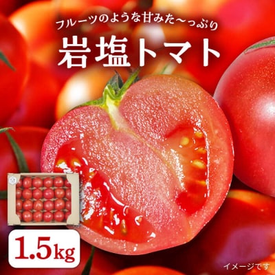【先行受付】甘みたっぷり 岩塩トマト 約1.5kg 【2025年2月以降順次発送】[AHC060]