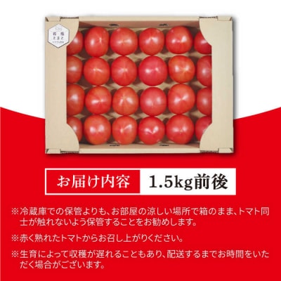 【先行受付】甘みたっぷり 岩塩トマト 約1.5kg 【2025年2月以降順次発送】[AHC060]