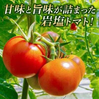 【先行受付】甘みたっぷり 岩塩トマト 約1.5kg 【2025年2月以降順次発送】[AHC060]