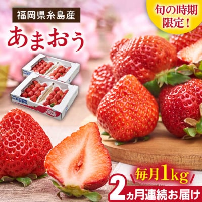 【2回定期便】【2026年2月より発送】糸島産【春】 あまおう4パック計1kg[AIK026]