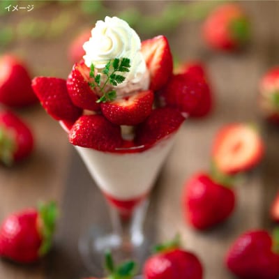 【2回定期便】【2026年2月より発送】糸島産【春】 あまおう4パック計1kg[AIK026]