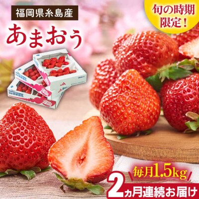 【2回定期便】【2026年2月より発送】糸島産【春】あまおう6パック毎月計1.5kg[AIK027]