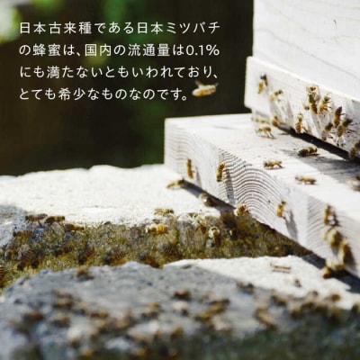 【希少】にほんみつばちの 生 ハチミツ 110g×1本 糸島市/kibitoa [AIN004]