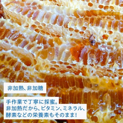 【希少】にほんみつばちの 生 ハチミツ 110g×1本 糸島市/kibitoa [AIN004]