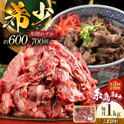 【全3回定期便】【月限定10個】希少 糸島 和牛 こまぎれ 1kg[AJD011]