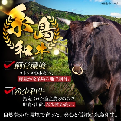 【全3回定期便】【月限定10個】希少 糸島 和牛 こまぎれ 1kg[AJD011]