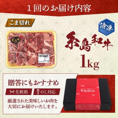 【全3回定期便】【月限定10個】希少 糸島 和牛 こまぎれ 1kg[AJD011]