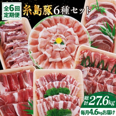 【全6回定期便】計4.6kg!糸島豚 食べ尽くしセット[AJD013]