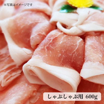 【全6回定期便】計4.6kg!糸島豚 食べ尽くしセット[AJD013]