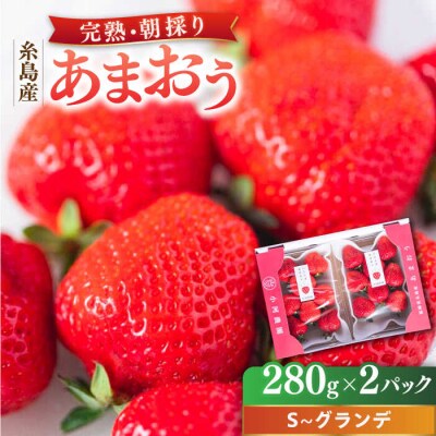 農家直送! 糸島産 完熟あまおう 280g×2P(S-Gサイズ)[AJN003]