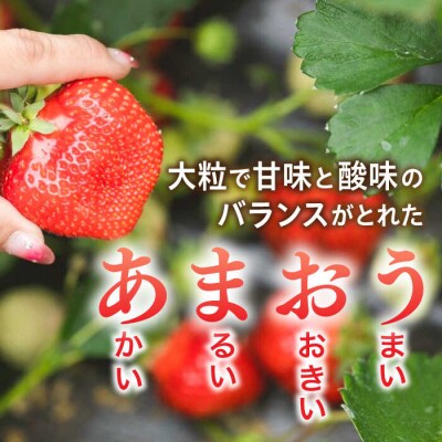 農家直送! 糸島産 完熟あまおう 280g×4P(S-Gサイズ)[AJN004]