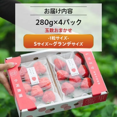 農家直送! 糸島産 完熟あまおう 280g×4P(S-Gサイズ)[AJN004]