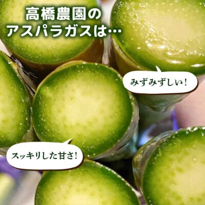【先行受付】栽培期間中農薬不使用! 朝採れのアスパラガス 1kg [ANM001]
