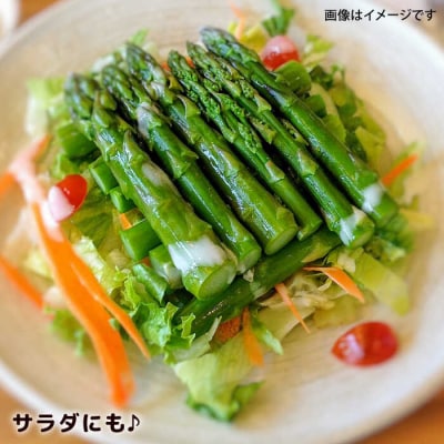 【先行受付】栽培期間中農薬不使用! 朝採れのアスパラガス 1kg [ANM001]