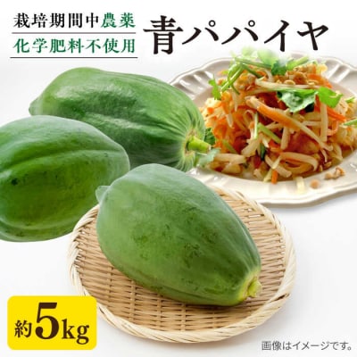 糸島産 青パパイヤ 約5kg 糸島市/食と健康のブリッジベース 野菜 タイ料理 [ANN001]