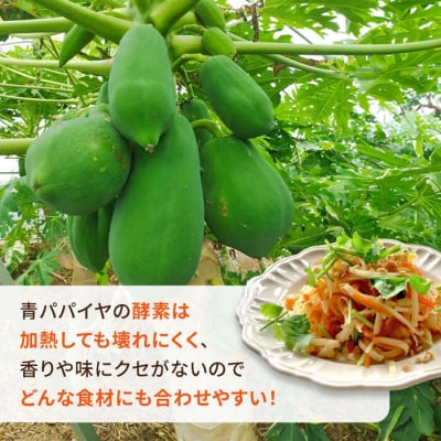 糸島産 青パパイヤ 約5kg 糸島市/食と健康のブリッジベース 野菜 タイ料理 [ANN001]