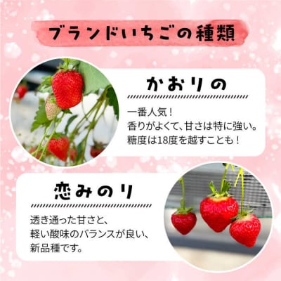 【志摩イチゴハウス】いちご狩りチケット(大人1名様分) 株式会社 糸島農園 [APM001]