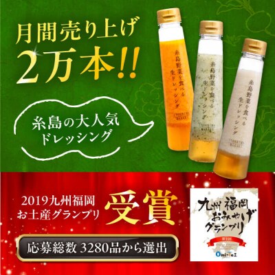【全6回定期便】【贈答用】糸島野菜を食べる生ドレッシング 3種類 3本セット[AQA049]