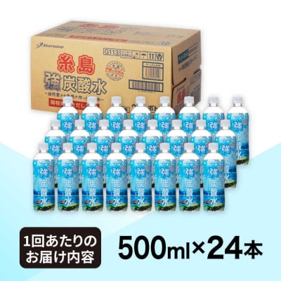 【全6回定期便】強炭酸水 プレーン 500ml × 24本  糸島市/スターナイン[ARM010]