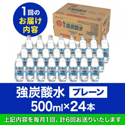 【全6回定期便】強炭酸水 プレーン 500ml × 24本  糸島市/スターナイン[ARM010]
