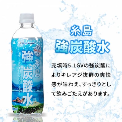 【全12回定期便】強炭酸水 プレーン 500ml × 24本  糸島市/スターナイン[ARM011]