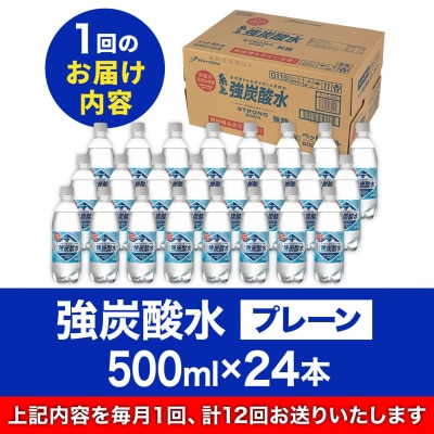 【全12回定期便】強炭酸水プレーン 500ml × 24本  糸島市/スターナイン[ARM011]