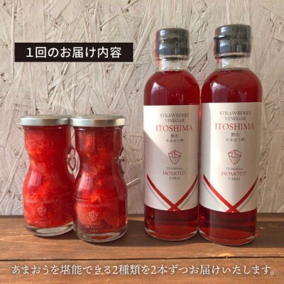 【全12回定期便】あまおう コンポート・飲む あまおう酢 各2本セット 糸島[ATB032]