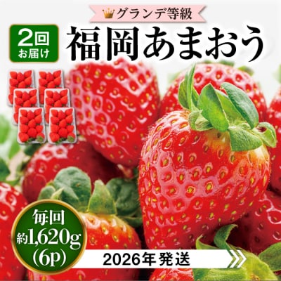 【全2回定期便】【先行受付】あまおう いちご 1,620g (約270g×6P) [AZL006]