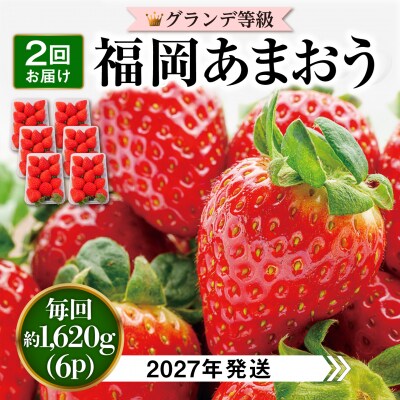 【全2回定期便】あまおう いちご 1,620g (約270g×6P) [AZL006]