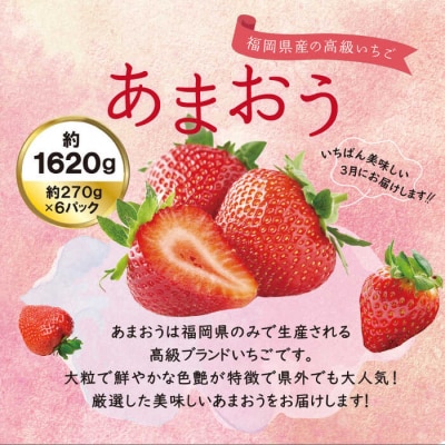 【全2回定期便】あまおう いちご 1,620g (約270g×6P) [AZL006]