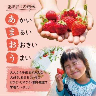 【全2回定期便】【先行受付】あまおう いちご 1,620g (約270g×6P) [AZL006]