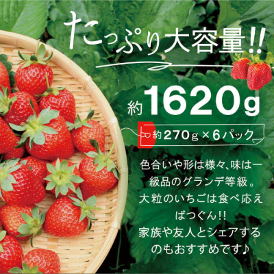 【全2回定期便】【先行受付】あまおう いちご 1,620g (約270g×6P) [AZL006]