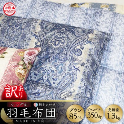 ＼この冬届く!/【訳あり】【糸島羽毛ふとん】柄おまかせダウン85%【シングル】[AYM004]