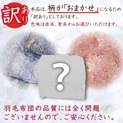 ＼この冬届く!/【訳あり】【糸島羽毛ふとん】柄おまかせダウン85%【シングル】[AYM004]