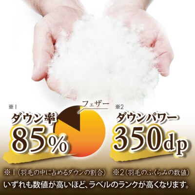【年内発送】【訳あり】【糸島羽毛ふとん】柄おまかせダウン85%【シングル】[AYM004]