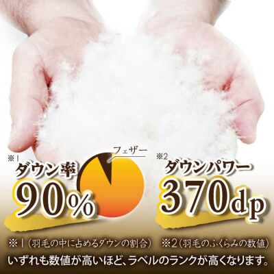 【訳あり】【糸島羽毛ふとん】柄おまかせダウン90%【シングル】[AYM006]