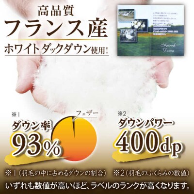 【訳あり】【 糸島羽毛ふとん】【高級ダウン使用】柄おまかせ ダウン93%【ダブル】[AYM015]