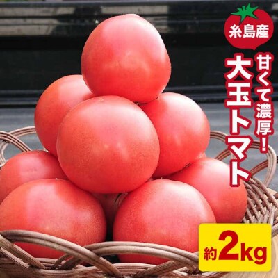 【先行受付】【甘くて濃厚】大玉 トマト2kg 糸島産【2024年11月以降順次発送】[AQH001]