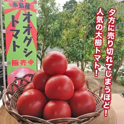 【先行受付】【甘くて濃厚】大玉 トマト2kg 糸島産【2024年11月以降順次発送】[AQH001]