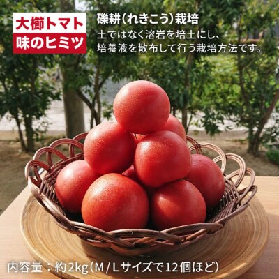 【先行受付】【甘くて濃厚】大玉 トマト2kg 糸島産【2024年11月以降順次発送】[AQH001]