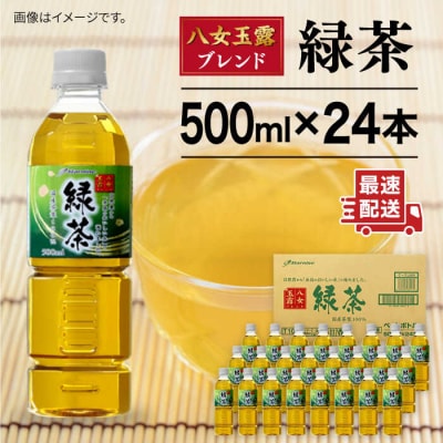 八女 玉露入り 緑茶 500ml × 24本  糸島市/スターナイン お茶 [ARM004]
