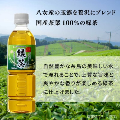 八女 玉露入り 緑茶 500ml × 24本  糸島市/スターナイン お茶 [ARM004]