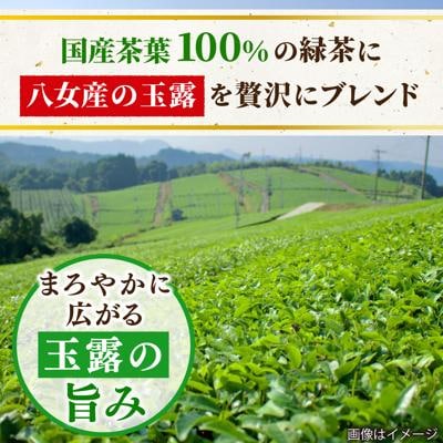 八女 玉露入り 緑茶 500ml × 24本  糸島市/スターナイン お茶 [ARM004]