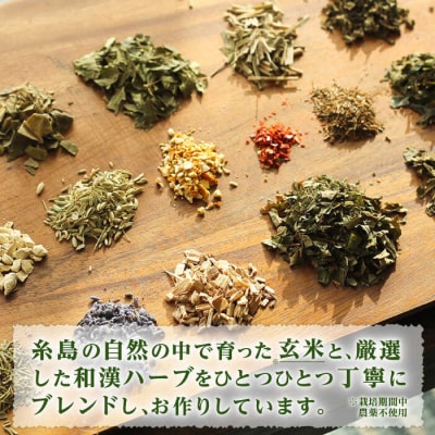 温spa Botanical steam pillow(ボタニカルスチームピロー) [ARN001]