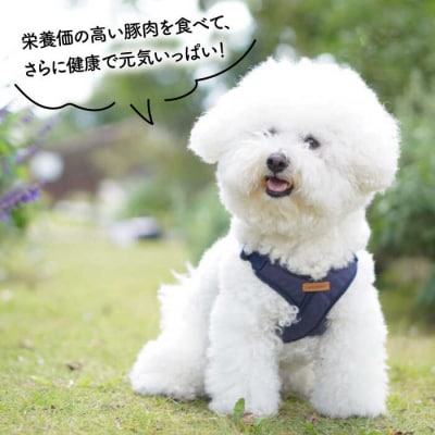 【糸島特産品使用】 無添加 そのまま糸島華豚 3袋  犬 ドッグフード ジャーキー [ASL007]