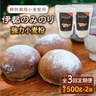 【全3回定期便】特別栽培小麦使用 伊都のみのり(500g×2袋)天然パン工房楽楽[AVC066]