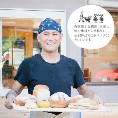 【全12回定期便】特別栽培小麦使用 伊都のみのり(500g×2袋) 天然パン工房楽楽[AVC068]